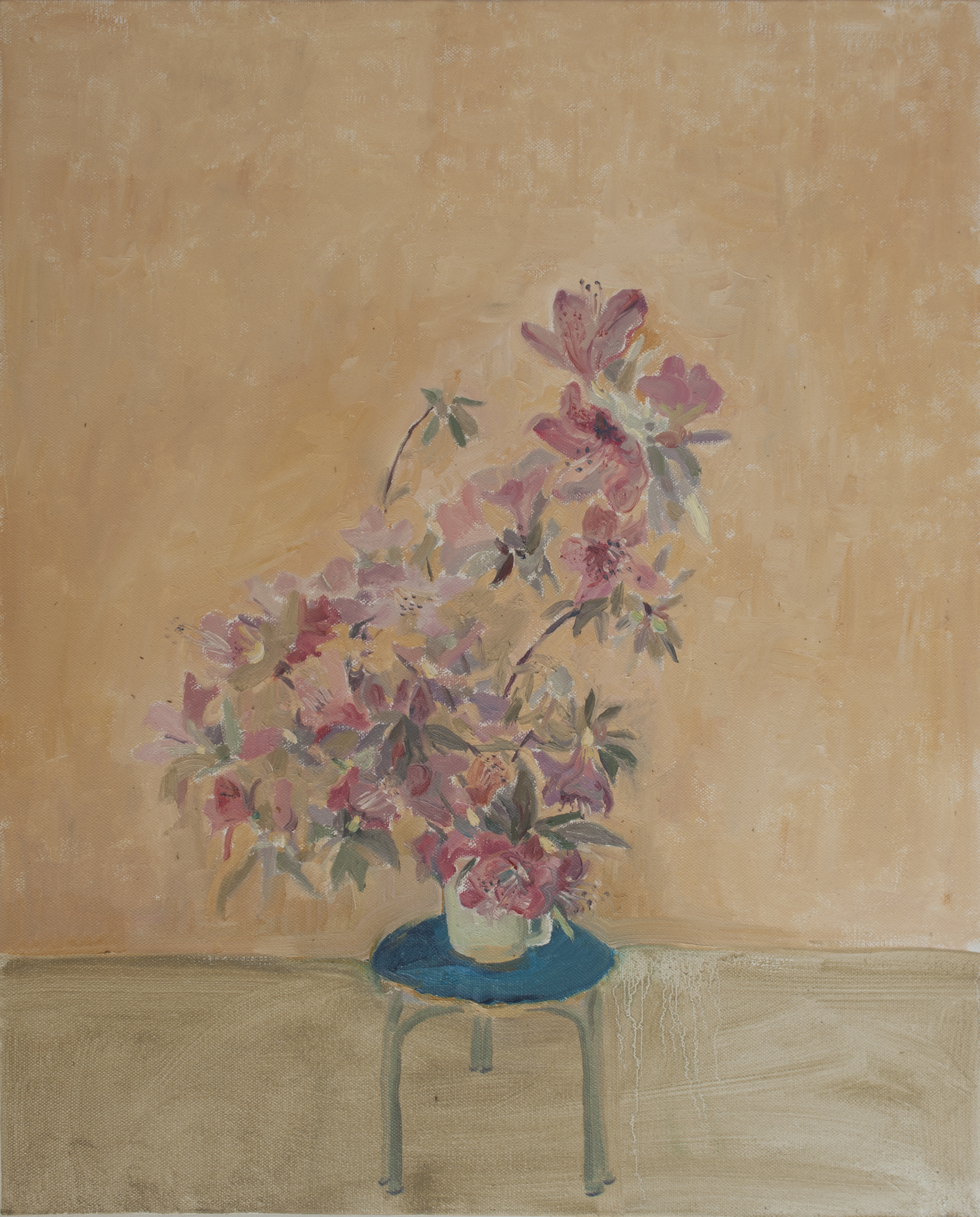 《爸爸的杜鹃花》2016年(50X60).jpg