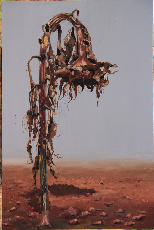 刘亚雄《葵》一60cm x 90cm.jpg