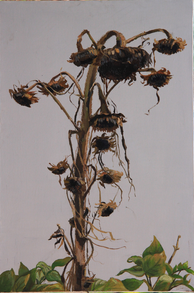 刘亚雄《葵》三60cm x 90cm.jpg