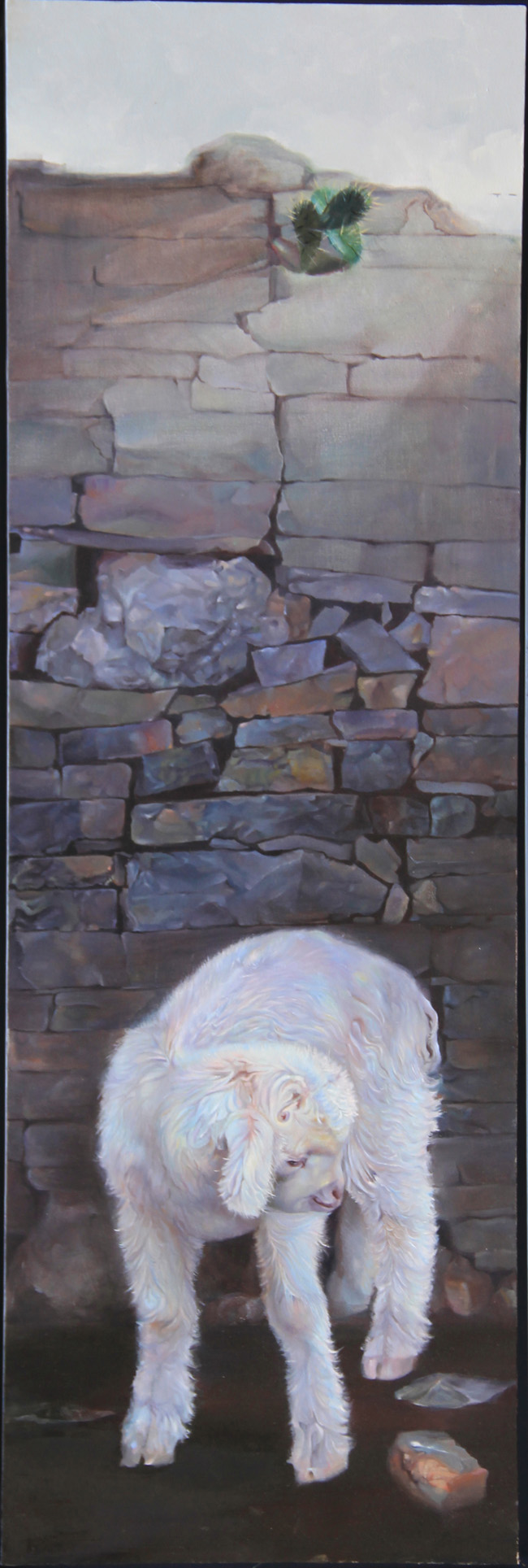 杨建东 《我的仙人掌》50cm x 150cm.jpg
