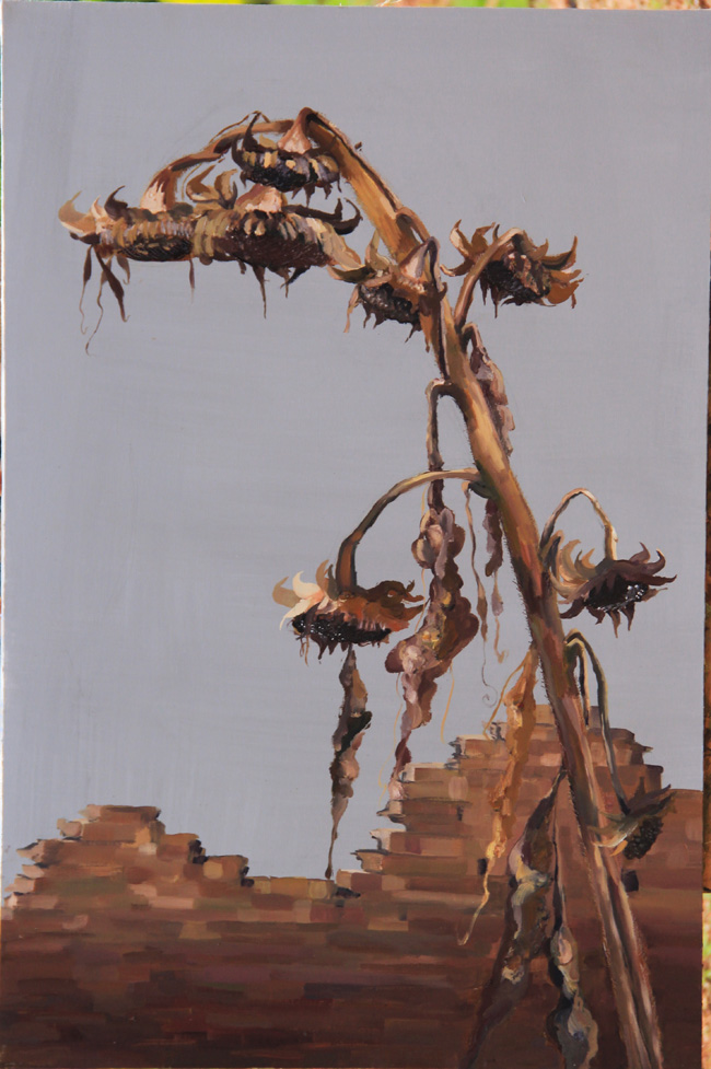 刘亚雄《葵》四60cm x 90cm.jpg