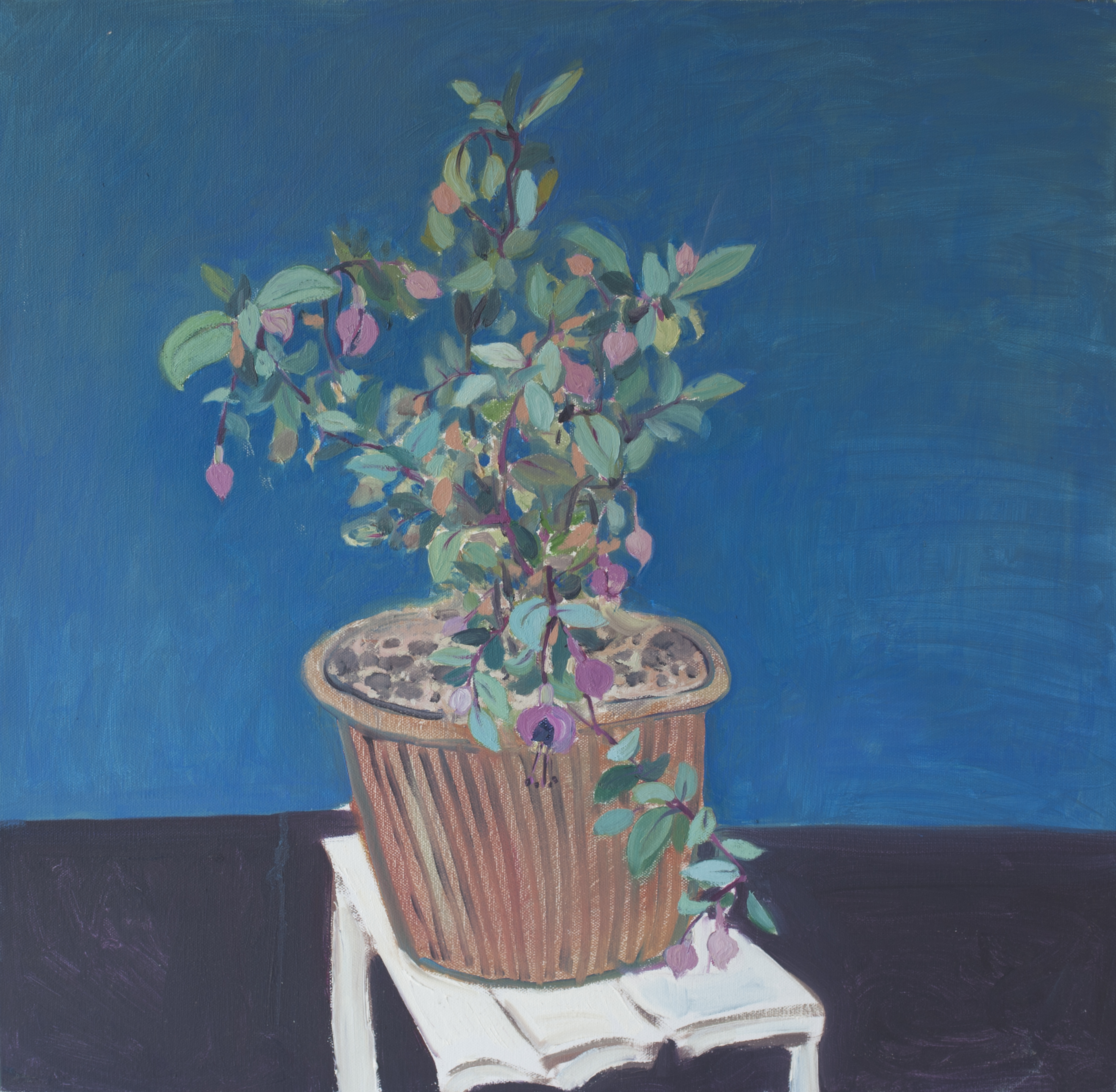 1《灯笼花》2016年(60X60).jpg