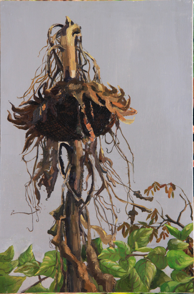 刘亚雄《葵》二60cm x 90cm.jpg