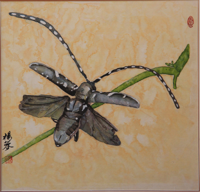 杨蓉《虫虫 三重奏》三 40cm x 40cm.jpg